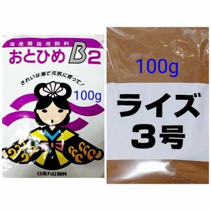 メダカの餌 日清丸紅 おとひめB2 100g ライズ3号 100g 熱帯魚