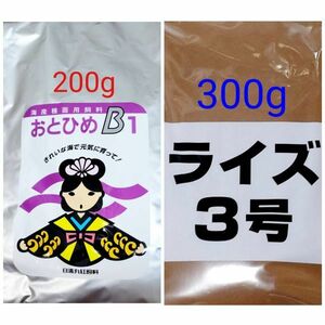 メダカの餌 日清丸紅 おとひめB1 200g ライズ3号 300g 熱帯魚