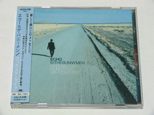 ECHO & THE BUNNYMEN / WHAT ARE YOU GOING TO DO WITH YOUR LIFE? // エコー & ザ バニーメン
