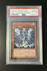 PSA10 遊戯王 嵐征竜テンペスト ゴールドシークレットレア ゴルシク