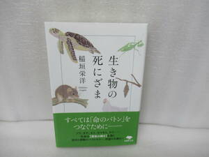 文庫 生き物の死にざま (草思社文庫 い 5-2) / 稲垣栄洋　　11/5518