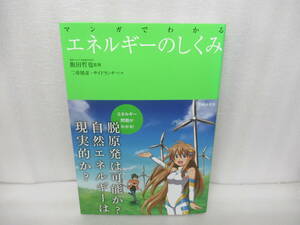 マンガでわかる エネルギーのしくみ (池田書店のマンガでわかるシリーズ) / 飯田哲也　　11/27522