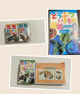 昆虫 恐竜 動物陸&海 絶滅危惧種カード 図鑑かるた 5セット 即日発送可能！