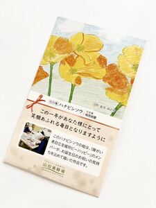 花の種　ハナビシソウ　花言葉　相思相愛　送料63円〜
