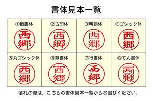 インク浸透印 ブラザースタンプクリエイター ネーム9 シャチハタ式