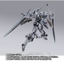 【輸送箱未開封】METAL BUILD メタルビルド ガンダムアストレアII ＋ プロトザンユニット (プレバン限定)_画像3