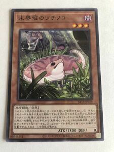 遊戯王　闇　未界域のツチノコ　ノーパラ