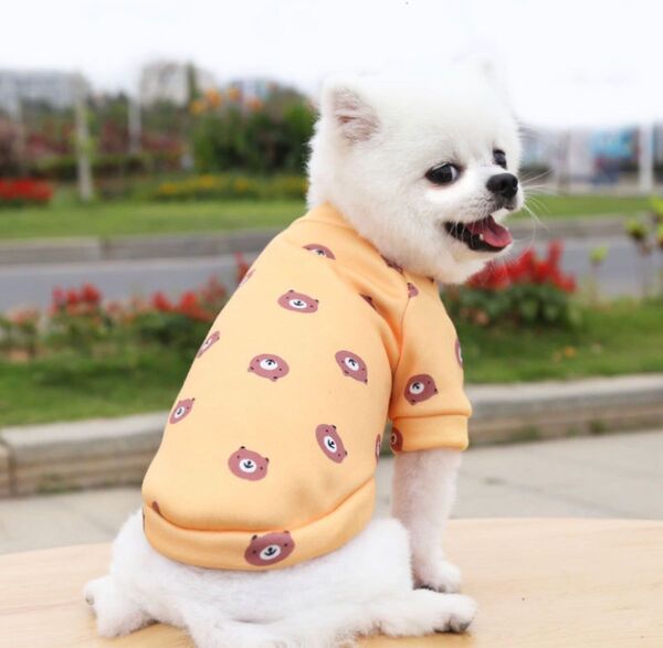 大人気 秋冬新作 可愛い 小中型犬服 ドッグウェア 裏起毛 犬服 イエロー Mサイズ