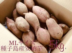 安納芋種子島産　MLサイズ5kg さつまいも　熟成済み　紅はるかよりき