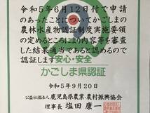 安納芋種子島産　Sサイズ10kg 熟成済み　さつまいも　紅はるかより希少_画像3