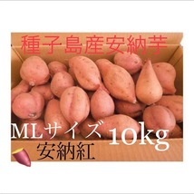 安納芋　種子島産　MLサイズ10kg 熟成済み　農薬:栽培期間中　不使用　#紅はるかより希少　_画像1