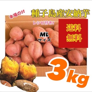 安納芋種子島産　MLサイズ3kg 農薬:栽培期間中不使用　熟成済み