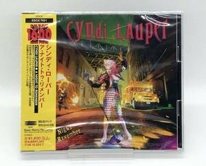 【 未開封 CD 】◎ シンディ・ローパー Cyndi Lauper ／ A Night to Remember ア・ナイト・トゥ・リメンバー ◎ EPIC SONY ESCA-7621