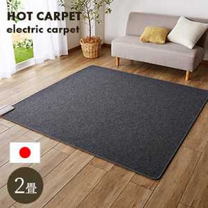 ホットカーペット 2畳 本体 175x175cm 【 ホットカーペット2畳用 本体 省エネ 日本製 】