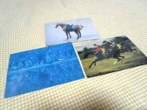 絵葉書　馬　昭和レトロ　3枚まとめて　昔のはがき　東山魁夷