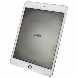 USED Apple docomo iPad mini 第5世代 Wi-Fi Cellular 64GB ゴールド MUX72J/A A2124 13.1.1 〇 SIMロックあり 動作確認 初期化済 7.9inch
