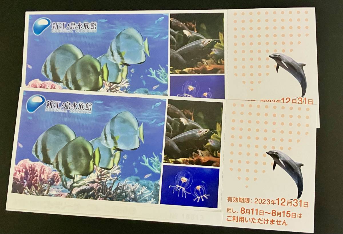 2023年最新】Yahoo!オークション -新江ノ島水族館 えのすいの中古品