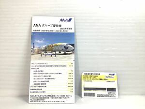 [K-2023]全日空 ANA 株主優待券★国内線 航空券 2023年12月1日〜2024年11月30日まで有効☆旅行 出張 里帰り♪売り切り 1円スタート!!