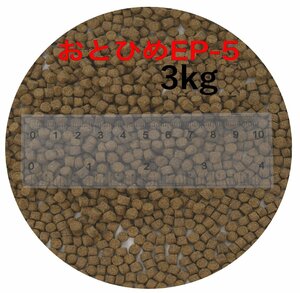 日清丸紅飼料 おとひめEP5(約4.3mm～約5.1mm) 3kg(500g×6袋) 沈降性(沈下性) 金魚 アロワナ 肉食魚に