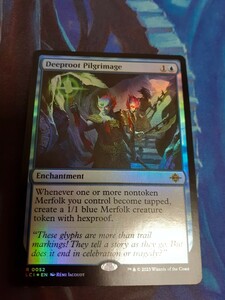 mtg 　深根の巡礼　英語　foil