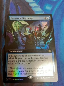 mtg 　深根の巡礼　英語　拡張　foil