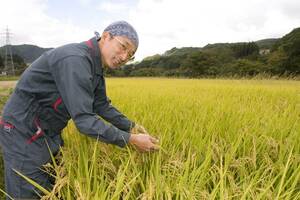 月山の麓で栽培した特別栽培米（令和４年精米つや姫２0ｋｇ）