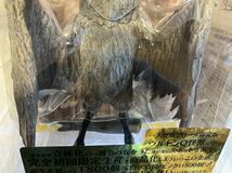 古代怪鳥ラルゲユウス　少年リック　エクスプラス　バンダイ　ウルトラマン　大怪獣シリーズ ブルマァク　ソフビ　 円谷プロ ウルトラQ _画像3