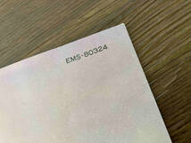 冊子のみ　ピンクフロイド　狂気　Pink Floyd EMS-80324_画像3