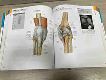 プロメテウス解剖学コアアトラス 第3版 坂井建雄_画像3