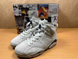 NIKE ナイキ AIR JORDAN 6 RETRO エアジョーダン6 レトロ CT8529-012 27.5cm グレー