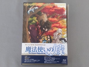 帯あり 魔法使いの嫁 第2巻(完全数量限定生産版)(Blu-ray Disc)