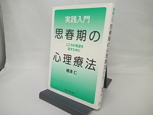 実践入門 思春期の心理療法 細澤仁