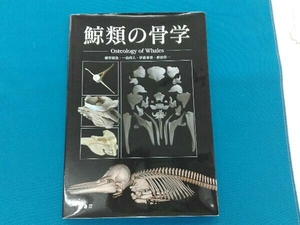 鯨類の骨学 -Osteology of Whales-