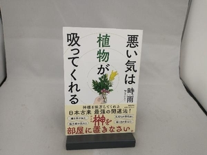 悪い気は植物が吸ってくれる 時雨