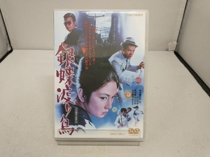 DVD 銀蝶渡り鳥