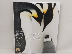 世界で一番美しいペンギン図鑑 水口博也