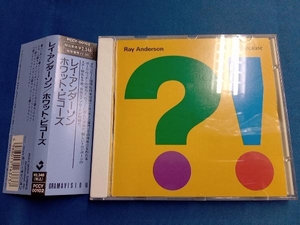 レイ・アンダーソン CD ホワット・ビコーズ