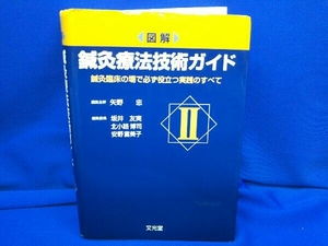 図解 鍼灸療法技術ガイド() 矢野忠 店舗受取可