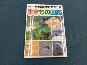 ハンディ版 学校のまわりでさがせる生きもの図鑑 動物・鳥 今泉忠明