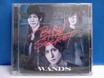 WANDS CD BURN THE SECRET(初回限定盤/CD+DVD)_画像1