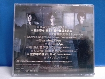 WANDS CD BURN THE SECRET(初回限定盤/CD+DVD)_画像2