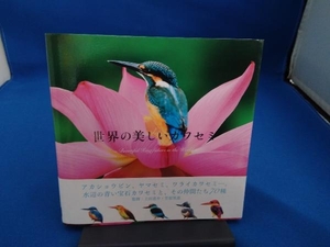 世界の美しいカワセミ 上田恵介