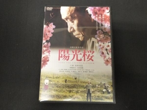 DVD 陽光桜-YOKO THE CHERRY BLOSSOM-