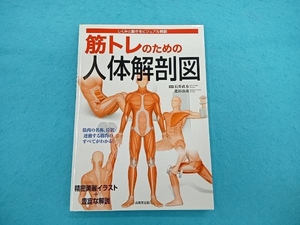 筋トレのための人体解剖図 石井直方