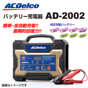 AD-2002 ACDelco 自動車用バッテリー 充電器 送料無料