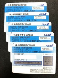 即決　ネコポス無料　ANA　全日空　株主優待券　5枚セット　2024年5月31日まで