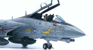 1/72 America Air Force F-14D Tomcat painted final product 