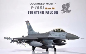 Art hand Auction 1/32 アメリカ空軍 F-16CJ 組立塗装済完成品, プラモデル, 航空機, 完成品