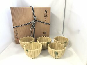 ☆未使用品☆子の日窯 大嶋久興作 黄瀬戸 向付 5客 菊 花 共箱付