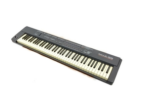 Roland A-33 MIDI KEYBOARD CONTROVERSIAL キーボード ローランド 電子ピアノ 中古 C8179158